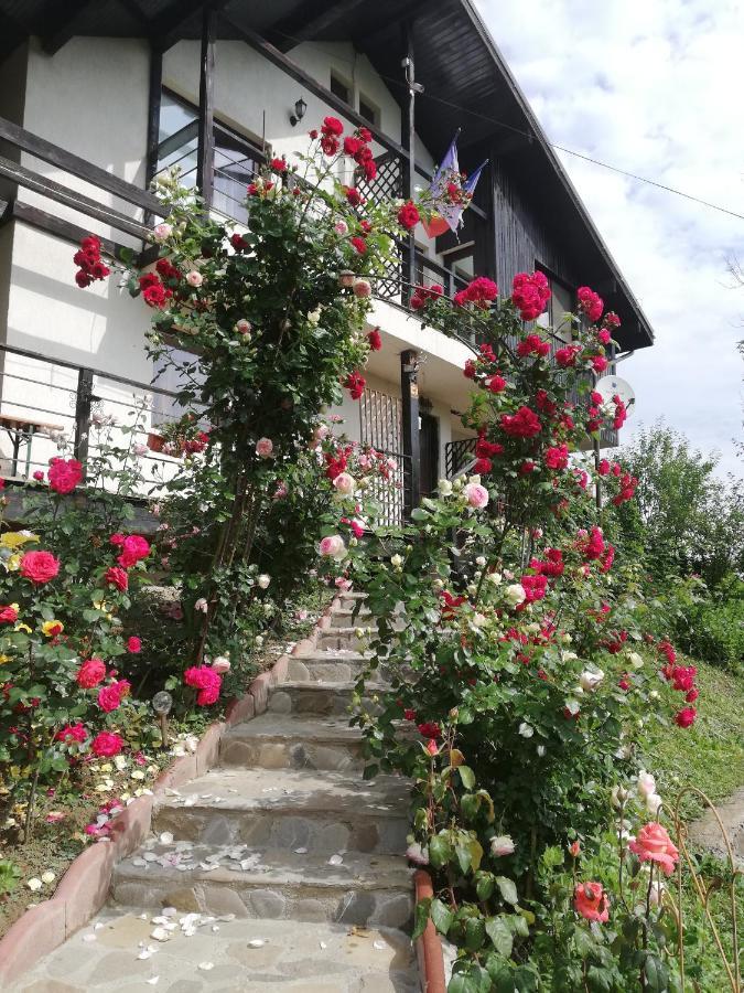 Casuta Cu Trandafiri Hotel Slănic Екстериор снимка