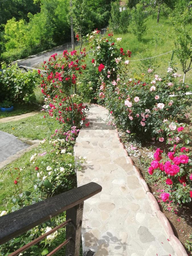 Casuta Cu Trandafiri Hotel Slănic Екстериор снимка