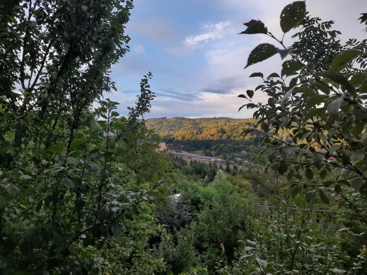 Casuta Cu Trandafiri Hotel Slănic Екстериор снимка