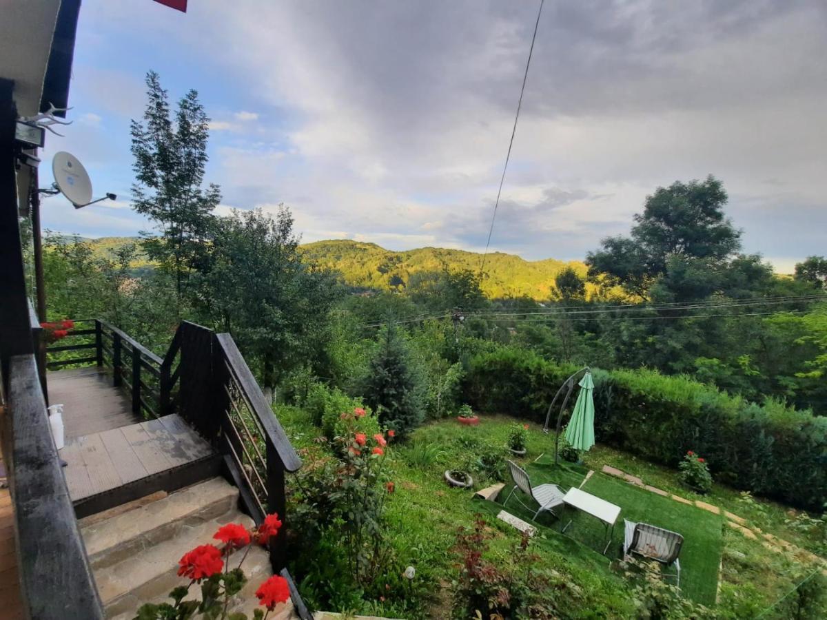 Casuta Cu Trandafiri Hotel Slănic Екстериор снимка