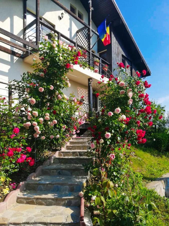 Casuta Cu Trandafiri Hotel Slănic Екстериор снимка