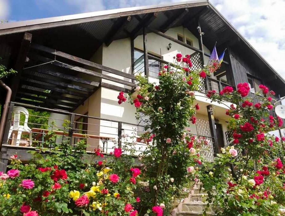 Casuta Cu Trandafiri Hotel Slănic Екстериор снимка