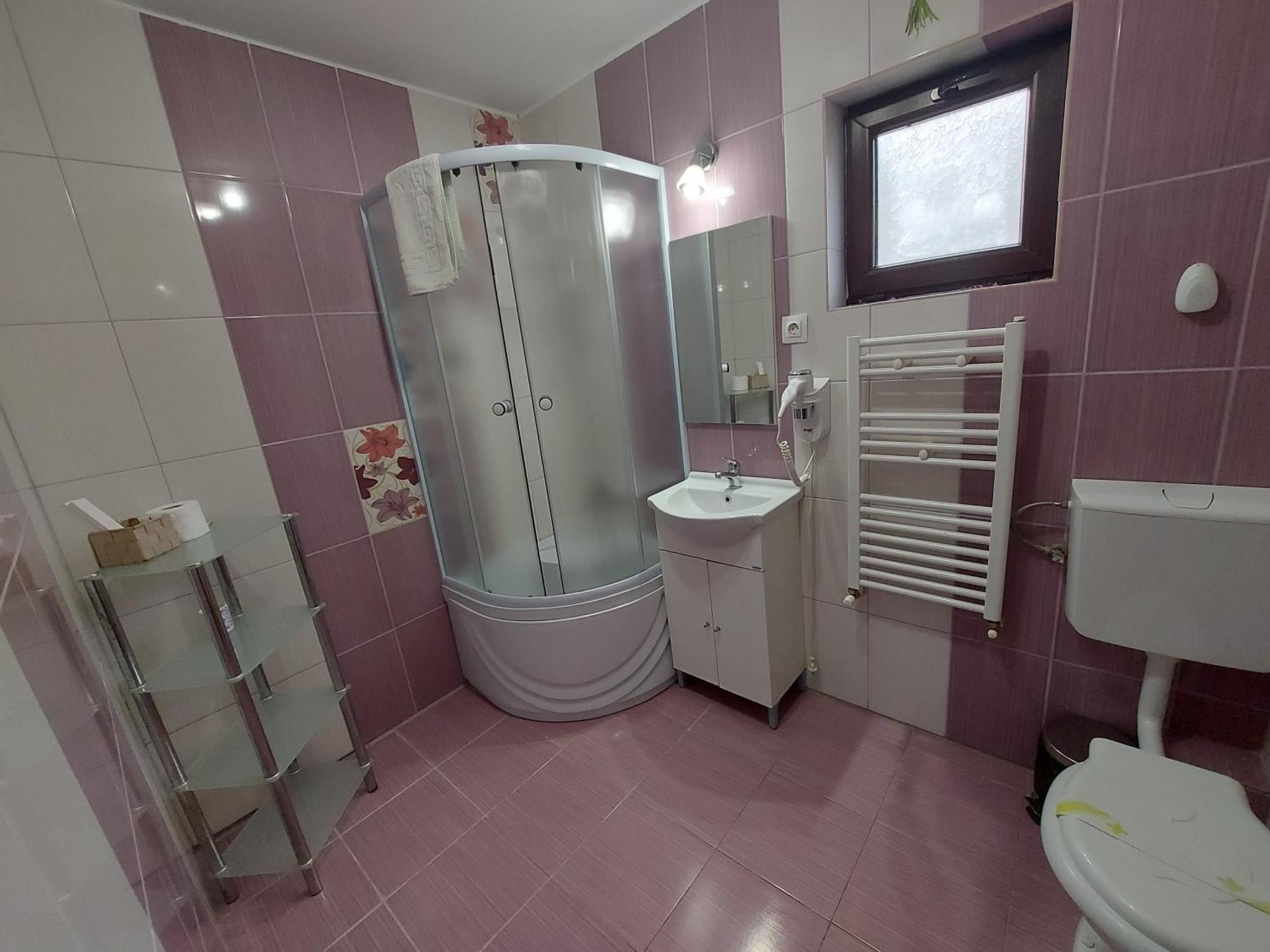 Casuta Cu Trandafiri Hotel Slănic Екстериор снимка
