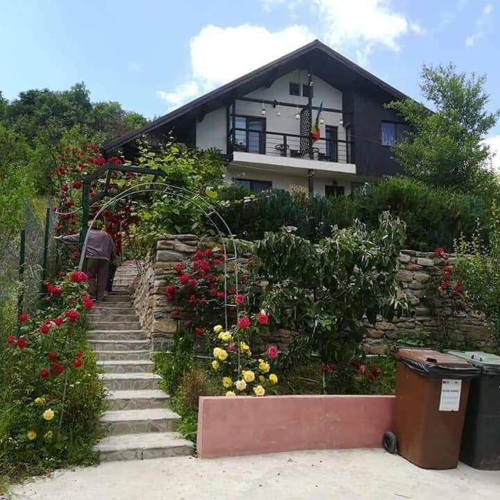 Casuta Cu Trandafiri Hotel Slănic Екстериор снимка