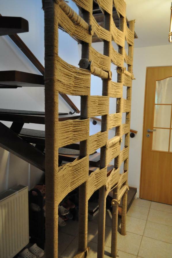 Casuta Cu Trandafiri Hotel Slănic Екстериор снимка