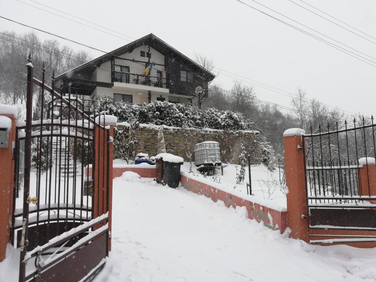 Casuta Cu Trandafiri Hotel Slănic Екстериор снимка